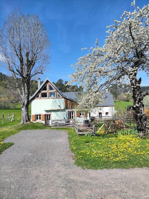 La Maison Dans Les Pres Labaroche Dış mekan fotoğraf